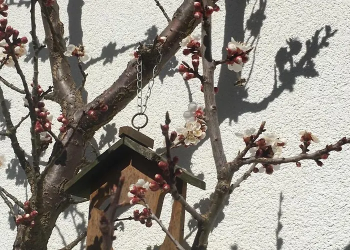 Appartement Emilia