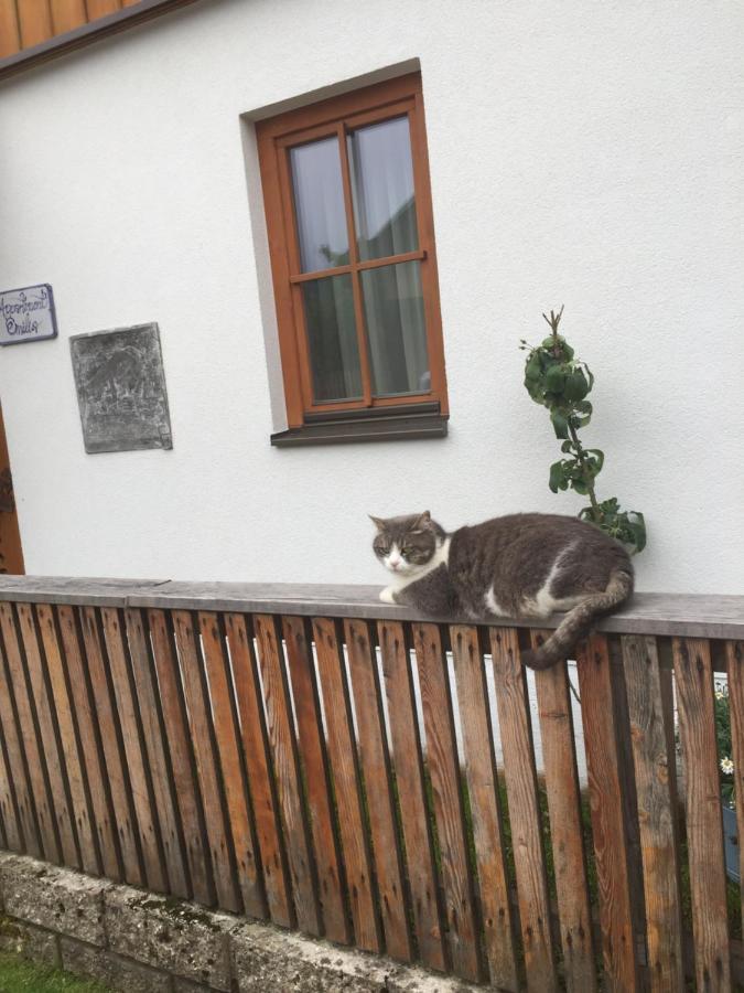 Emilia Appartement Hallstatt