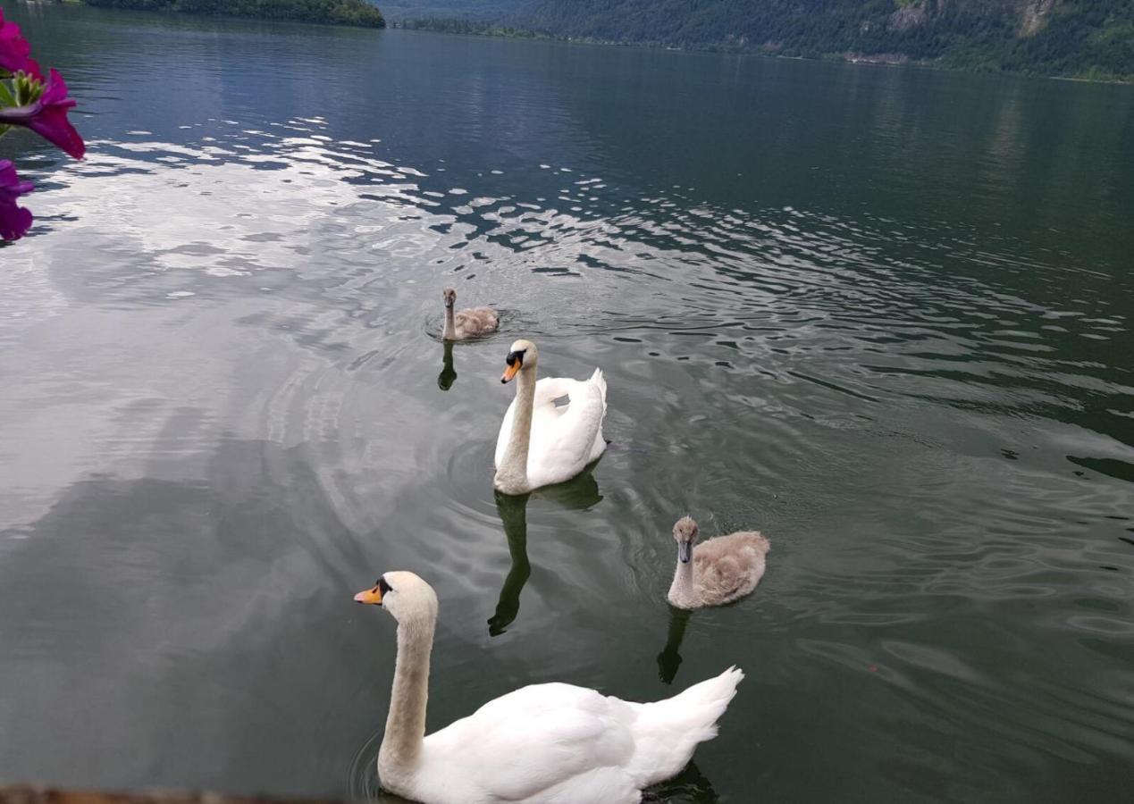 Apartment Emilia Hallstatt