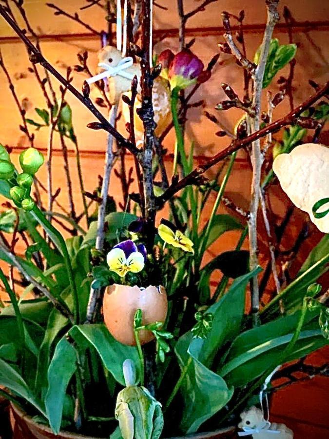 Apartment Emilia Hallstatt